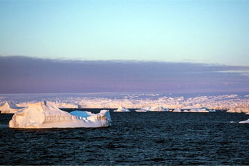 Applicatta se adjudica el desarrollo del diseño, implementación y mantención del nuevo sitio web del Nodo Antártico 